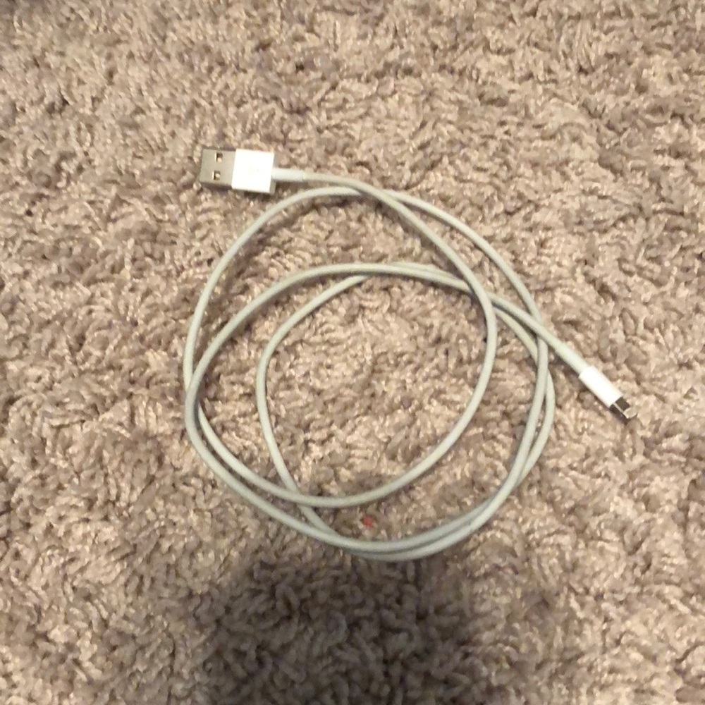 iPhone charger